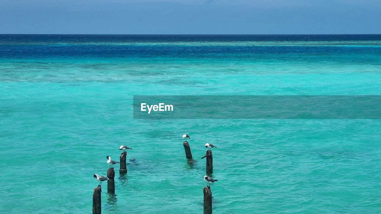 water, sea, beauty in nature, ocean, scenics - nature, turquoise colored, nature, horizon, horizon over water, shore, day, land, blue, sky, tranquility, tranquil scene, wave, beach, idyllic, wind wave, body of water, outdoors, lagoon, swimming, holiday, travel, vacation, islet, trip, coast, bay, non-urban scene, waterfront, high angle view, travel destinations