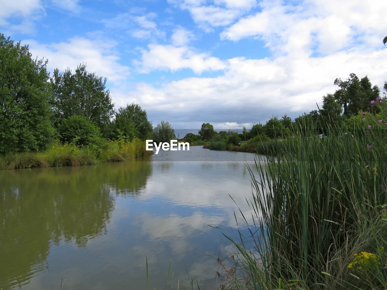 SCENIC VIEW OF LAKE AMIDST TREES AGAINST SKY