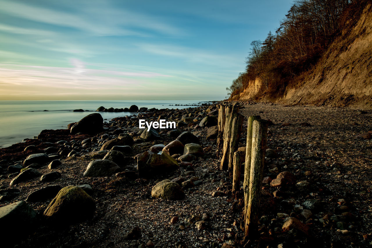 Old groynes on the beach of the baltic sea