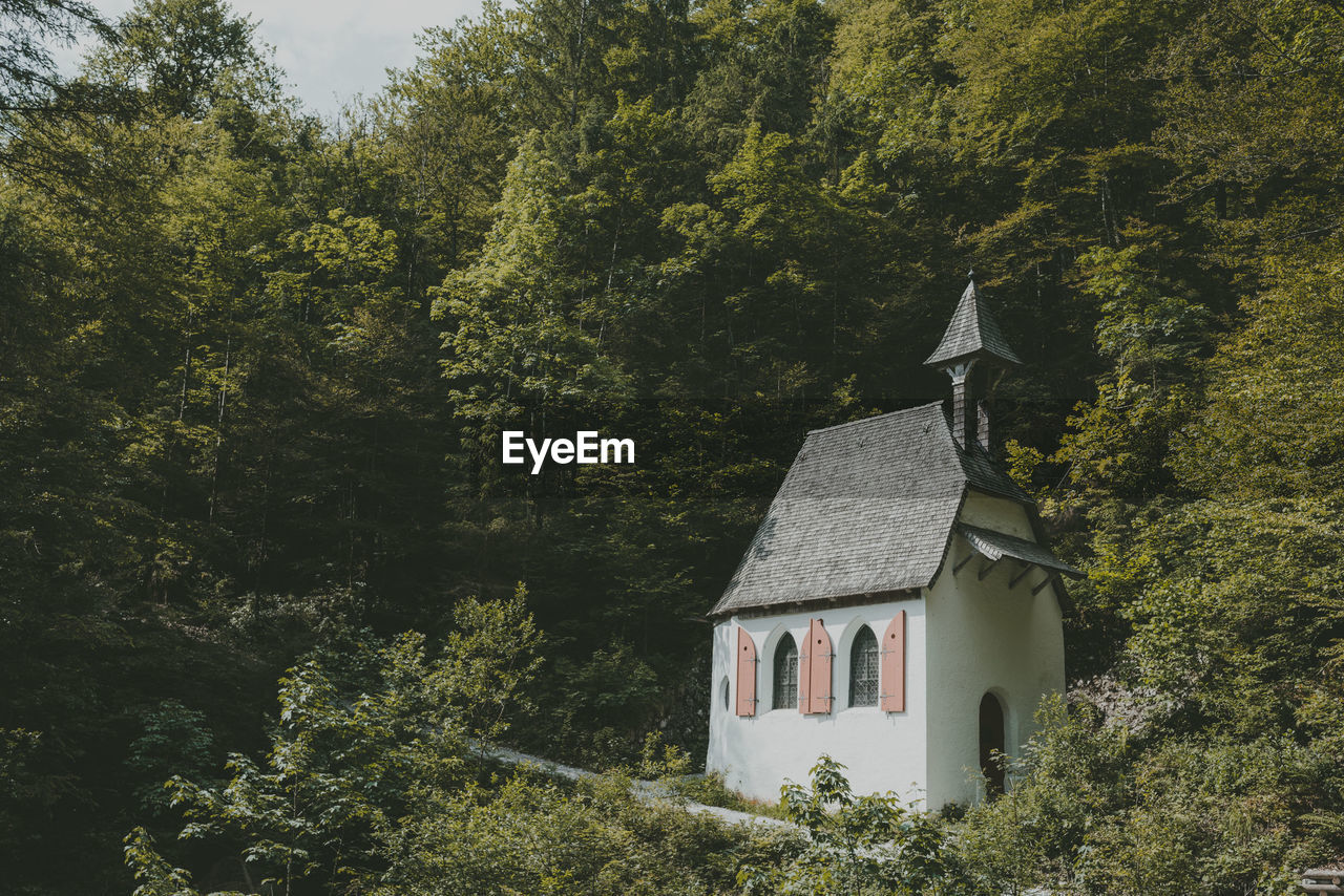 View of chapel in forest