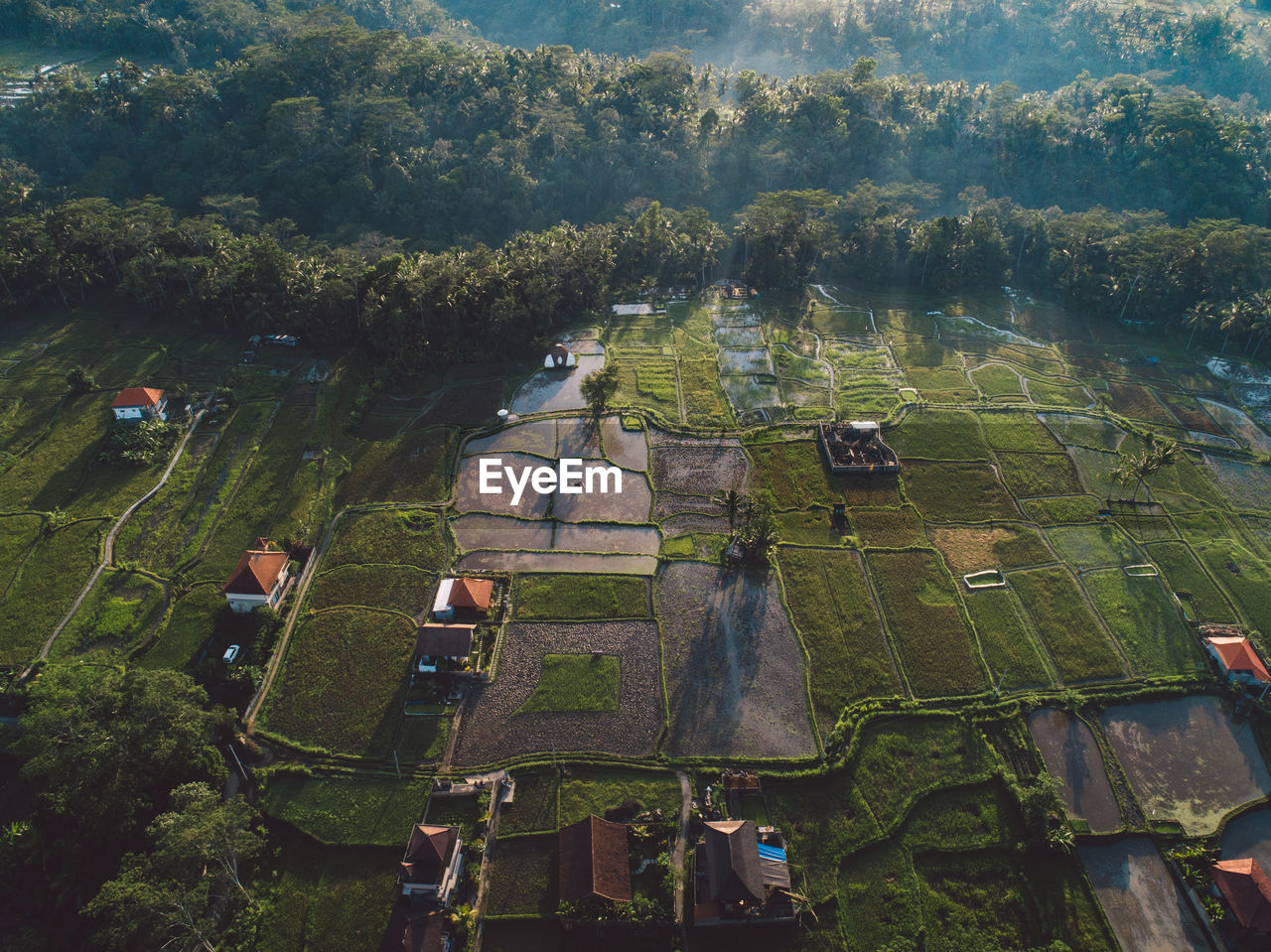 High angle view of cultivated land 