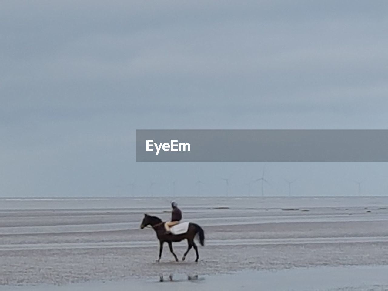 SIDE VIEW OF HORSE ON SAND AGAINST CLEAR SKY