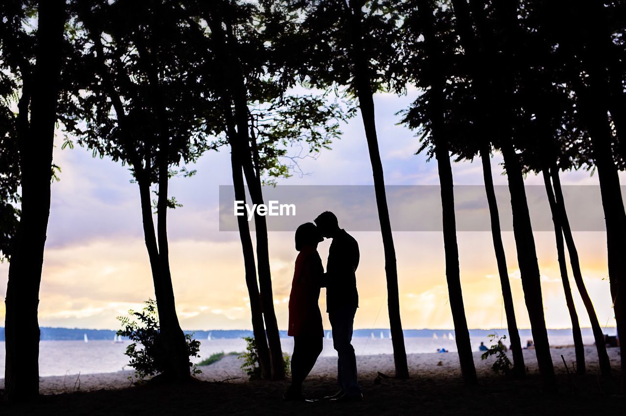 Silhouette couple kissing amidst trees at beach during sunset