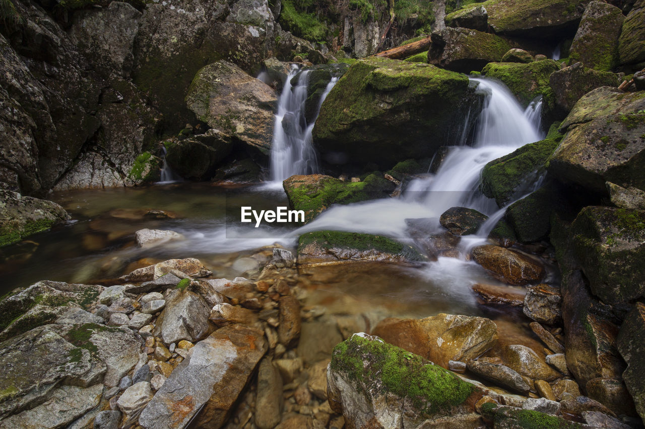 View of waterfall in forest in retezat mountains 