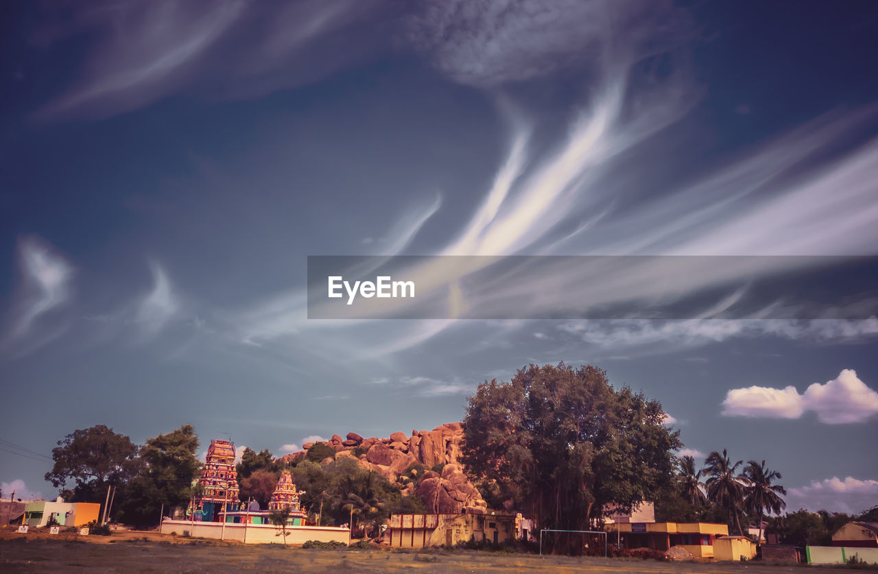 TREES AND BUILDINGS AGAINST SKY