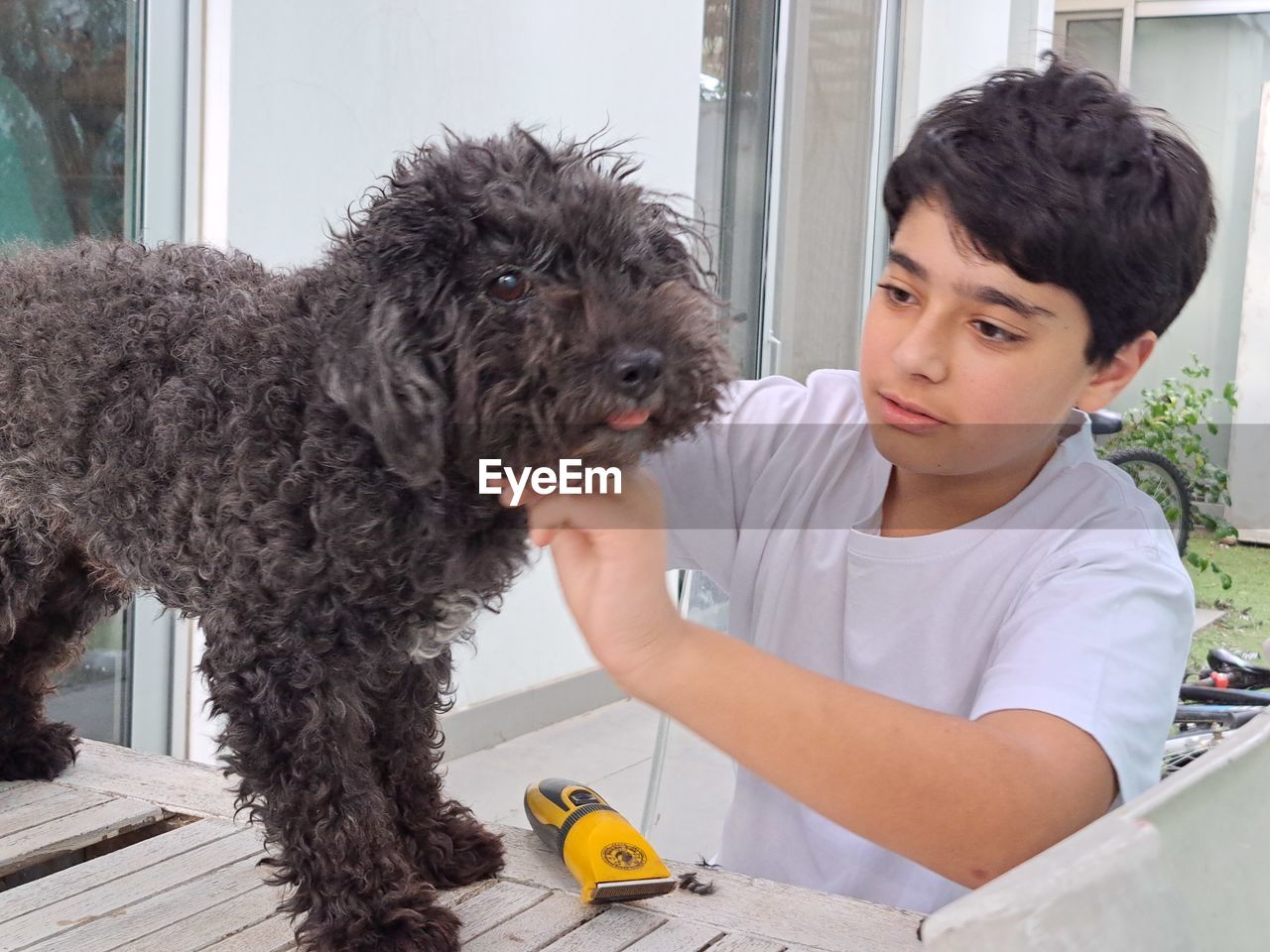 Portrait of a boy with dog
