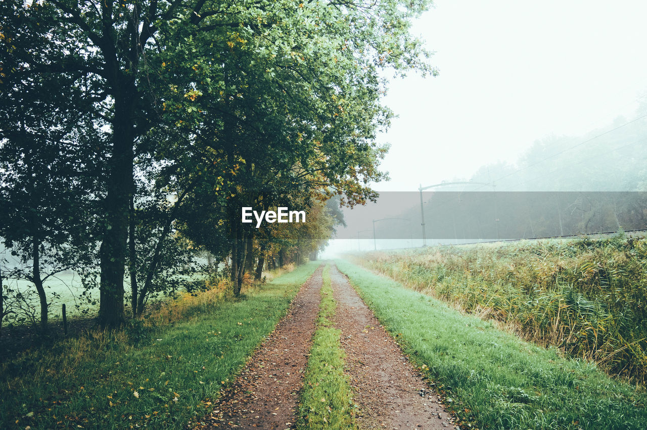 Scenic view of grassy field