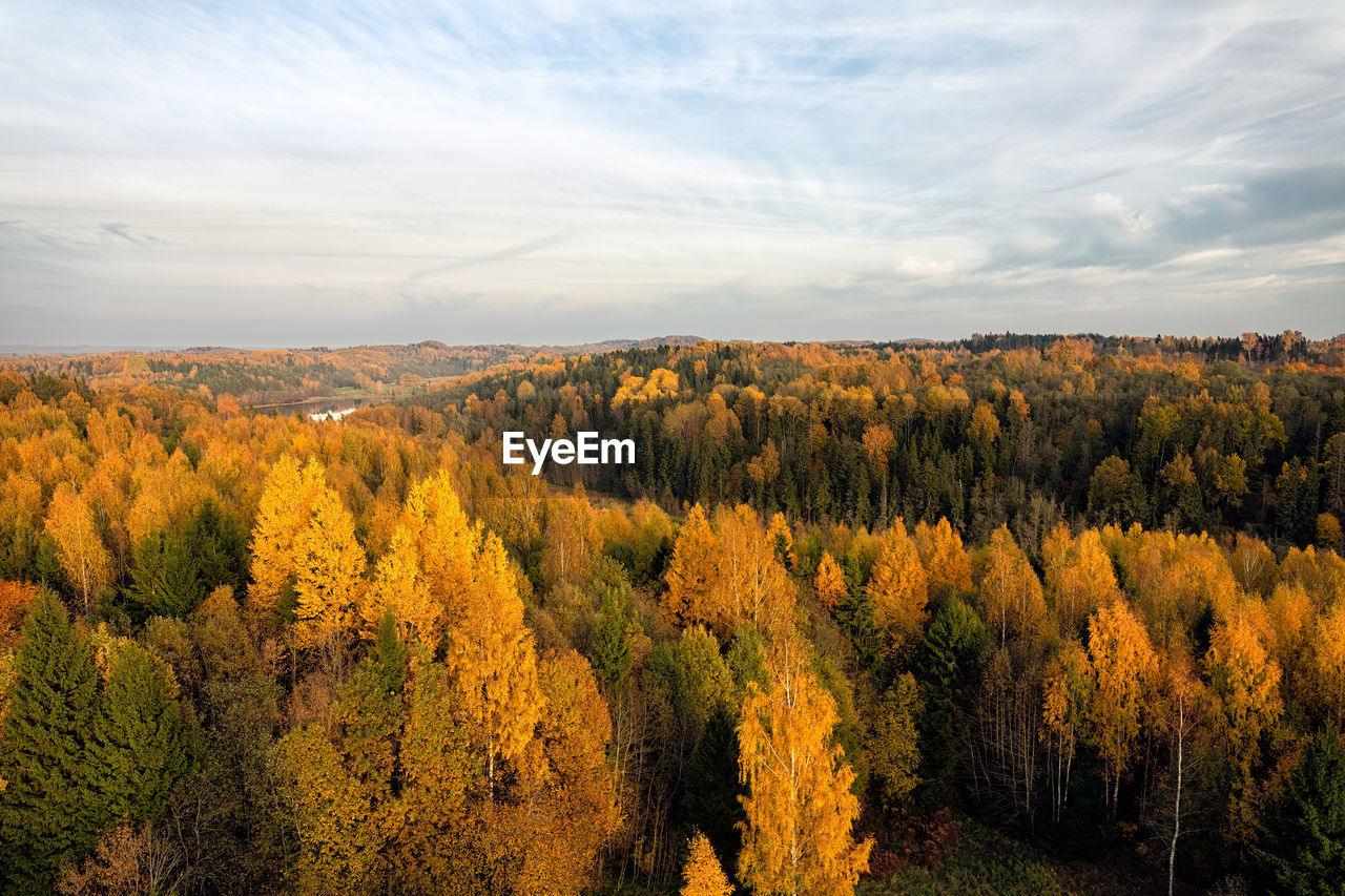 Scenic view of trees against sky during autumn