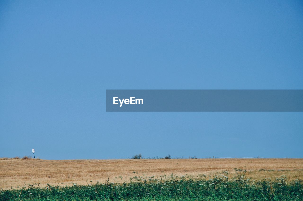 Scenic view of field against clear blue sky