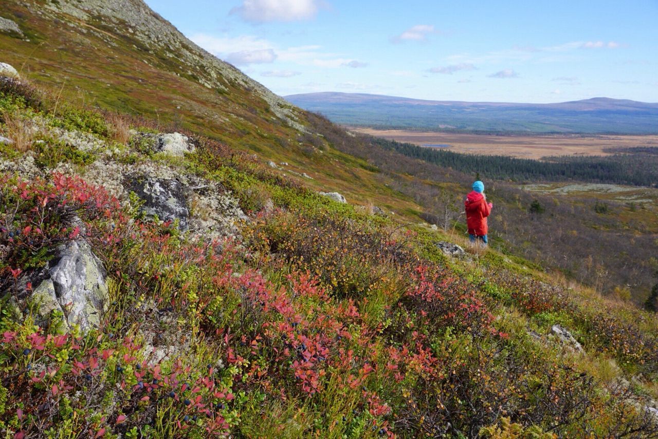 REAR VIEW OF PERSON STANDING ON MOUNTAIN