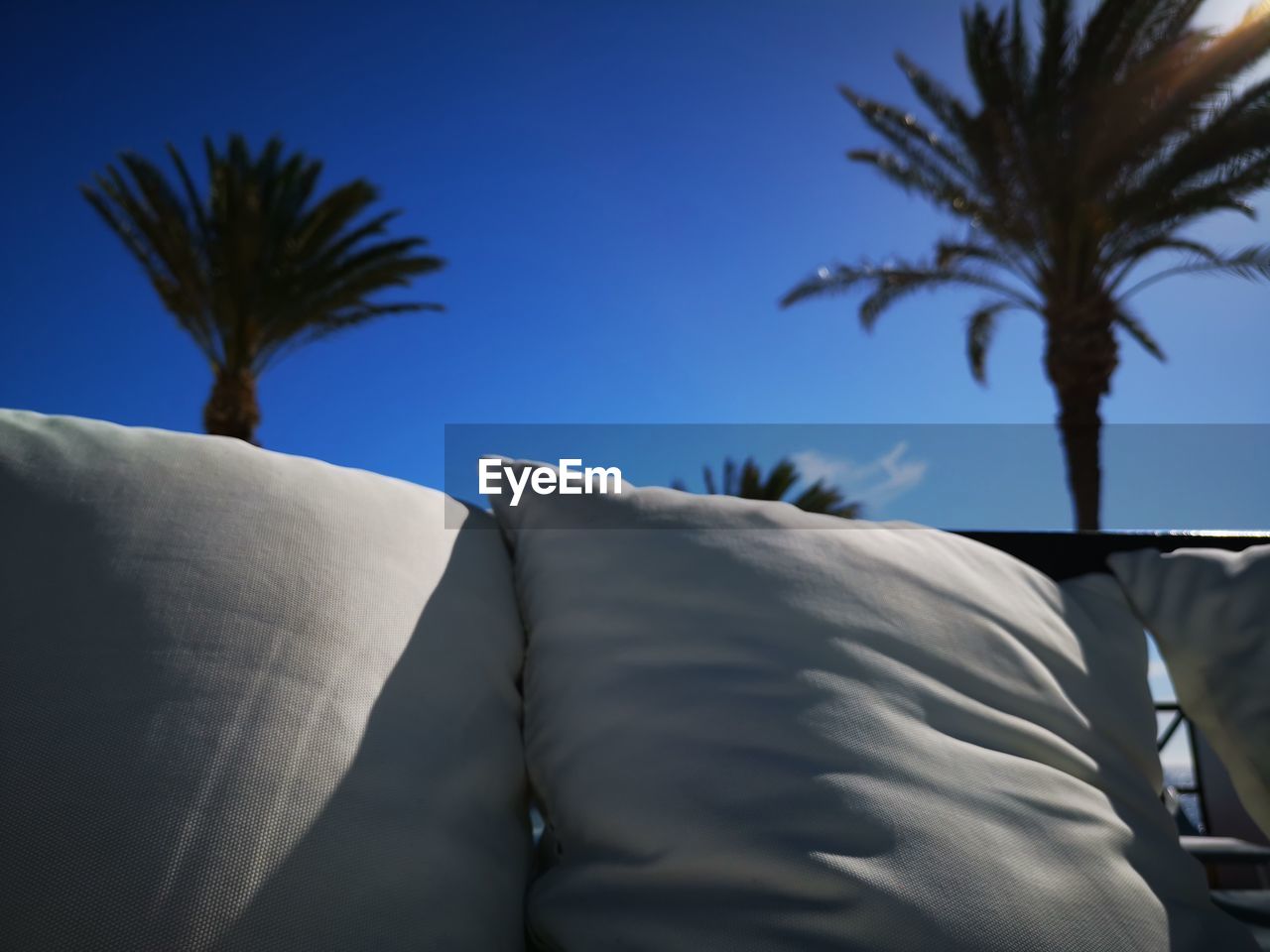 CLOSE-UP OF PALM TREES AGAINST SKY