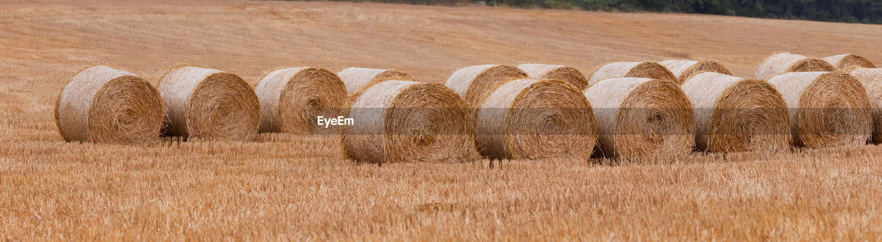 HAY BALES ON LANDSCAPE