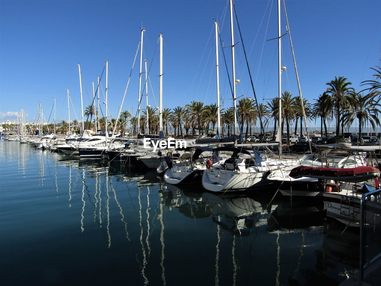 SAILBOATS IN MARINA