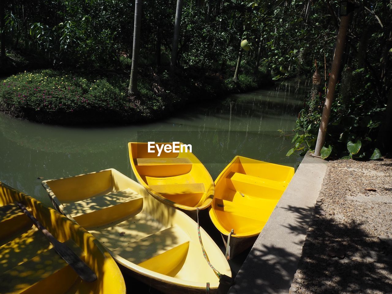 CLOSE-UP OF YELLOW LEAVES FLOATING ON WATER