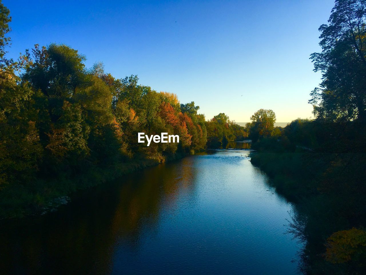 Scenic view of lake in forest against clear blue sky