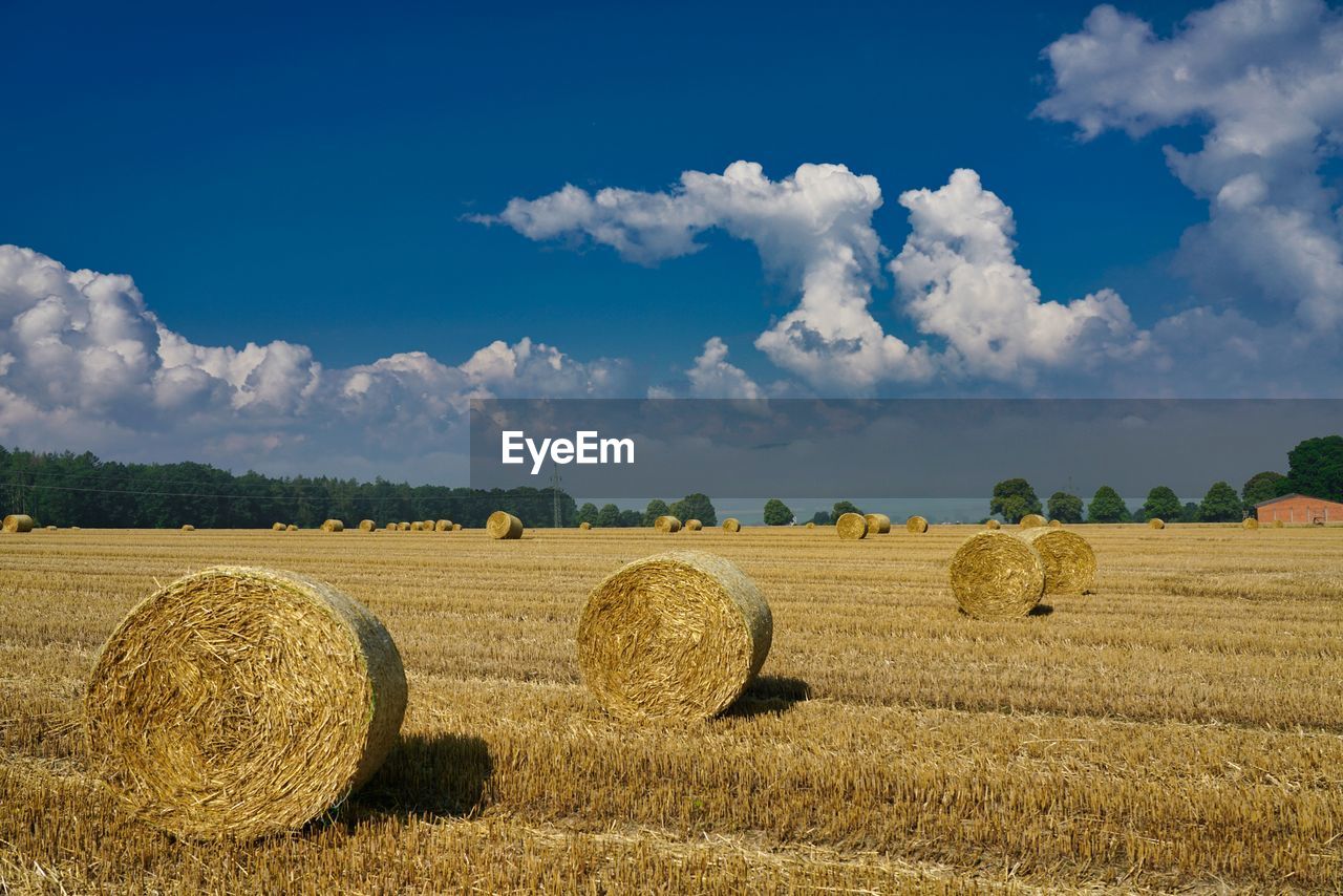 Hay bales on field against sky