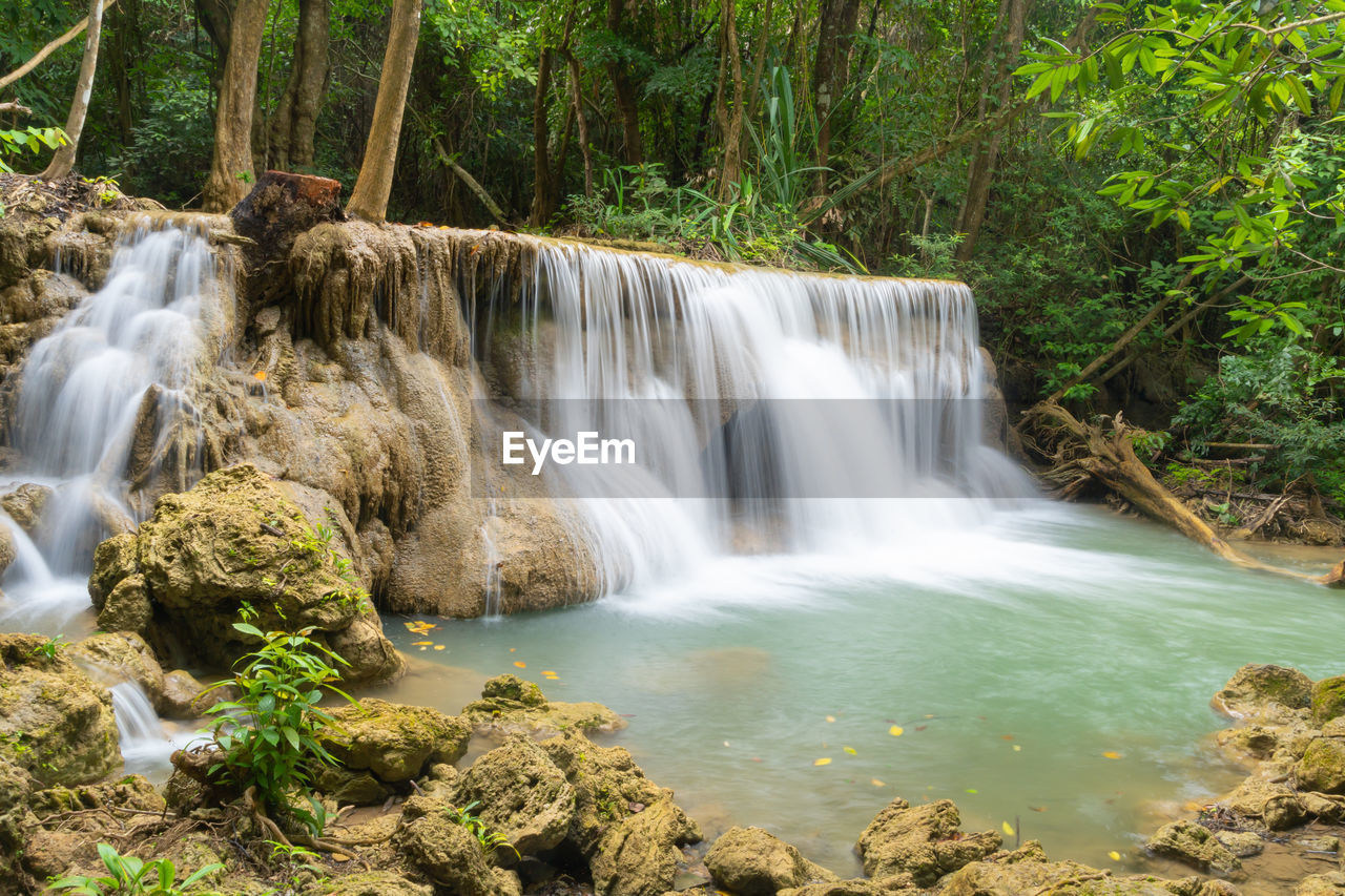 water, waterfall, beauty in nature, scenics - nature, tree, forest, body of water, plant, nature, motion, watercourse, environment, land, long exposure, flowing water, rock, river, stream, flowing, water resources, rainforest, travel destinations, non-urban scene, water feature, no people, tropical climate, outdoors, blurred motion, idyllic, tourism, travel, environmental conservation, landscape, autumn, speed, woodland, social issues, falling, power in nature, foliage, lush foliage