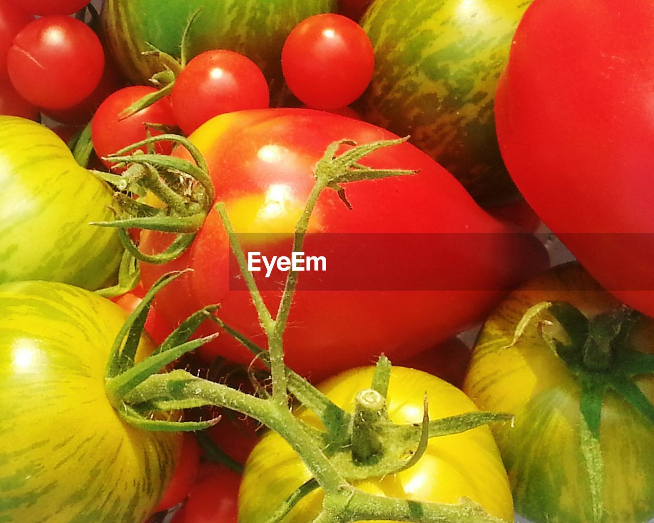 Full frame shot of tomatoes