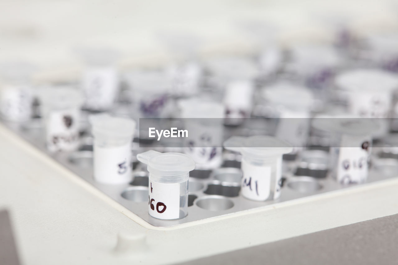 Test tubes at a thermal cycler block in a molecular biology laboratory. polymerase chain reaction