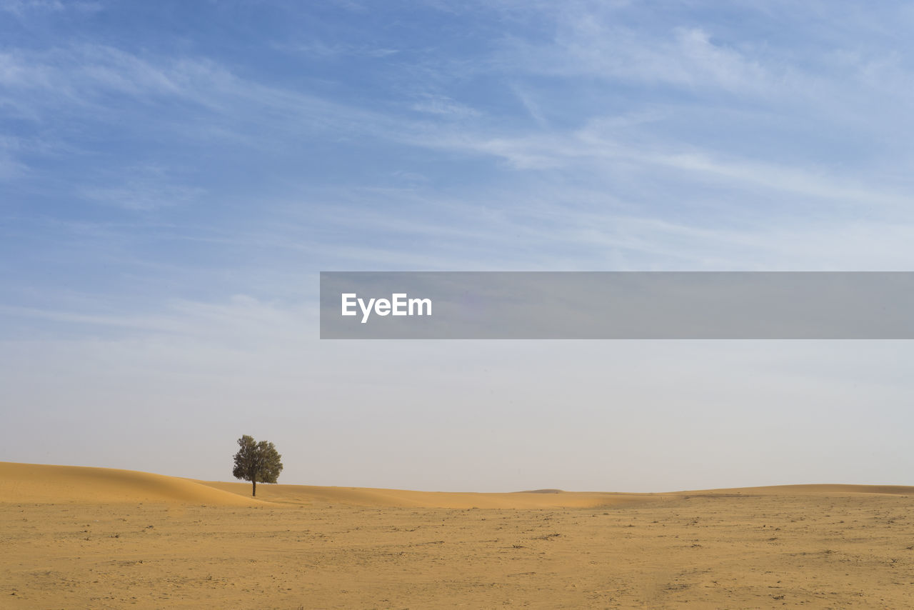 Scenic view of sand dunes against sky