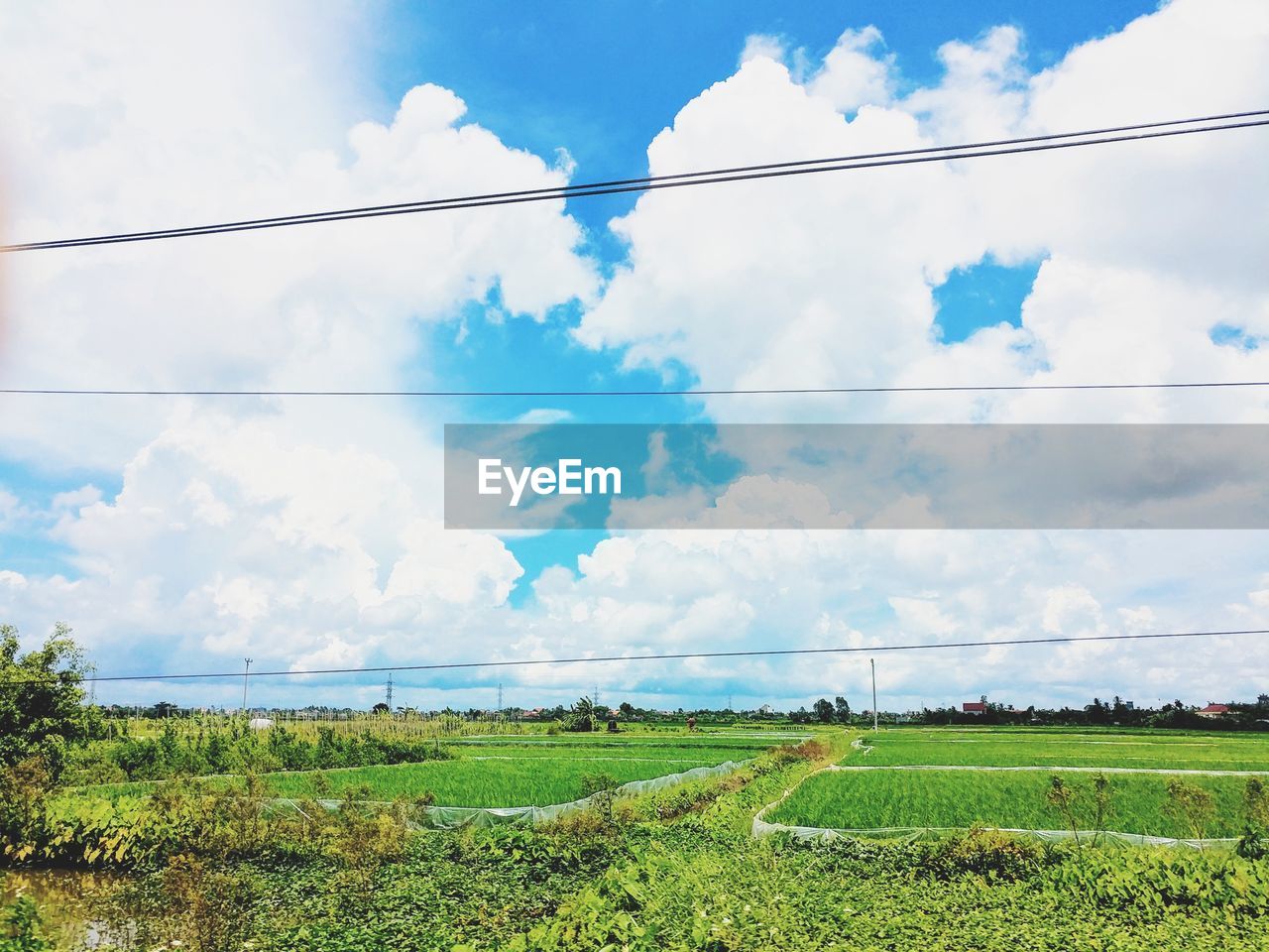 SCENIC VIEW OF FARM FIELD AGAINST SKY