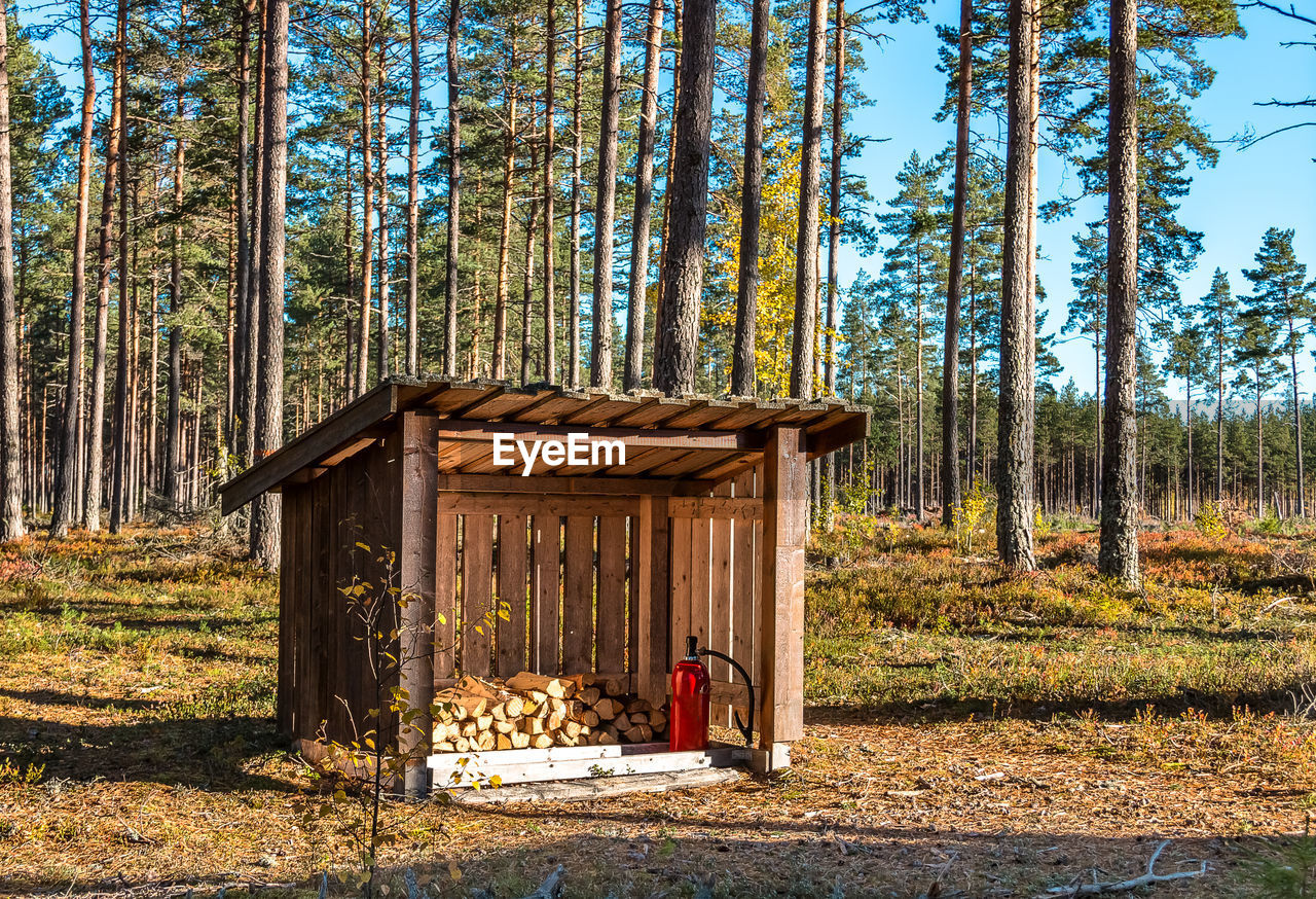 Firewood and fire extinguisher in the middle of the forest in sweden in summer