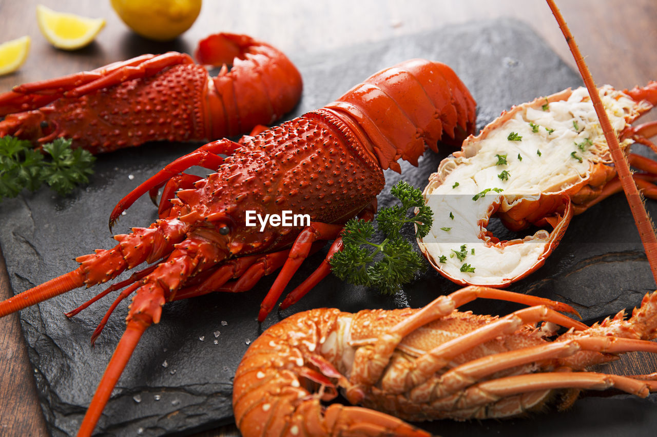 CLOSE-UP OF SEAFOOD ON PLATE