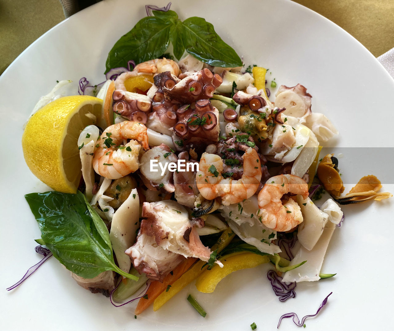 HIGH ANGLE VIEW OF SALAD SERVED IN PLATE