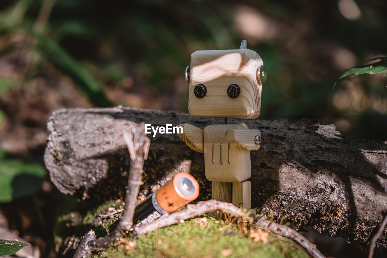 CLOSE-UP OF BIRDHOUSE ON TREE STUMP