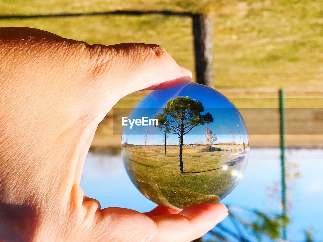 Close-up of hand holding crystal ball with reflection against trees
