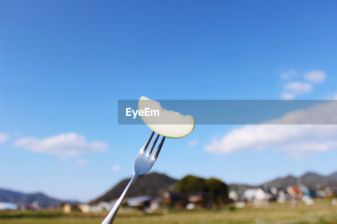 LOW ANGLE VIEW OF WHITE UMBRELLA AGAINST SKY