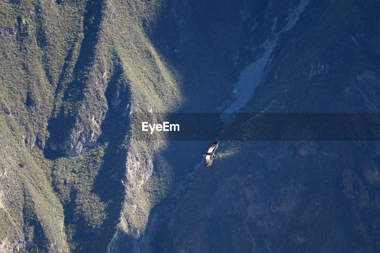 HIGH ANGLE VIEW OF PERSON SKIING ON MOUNTAINS