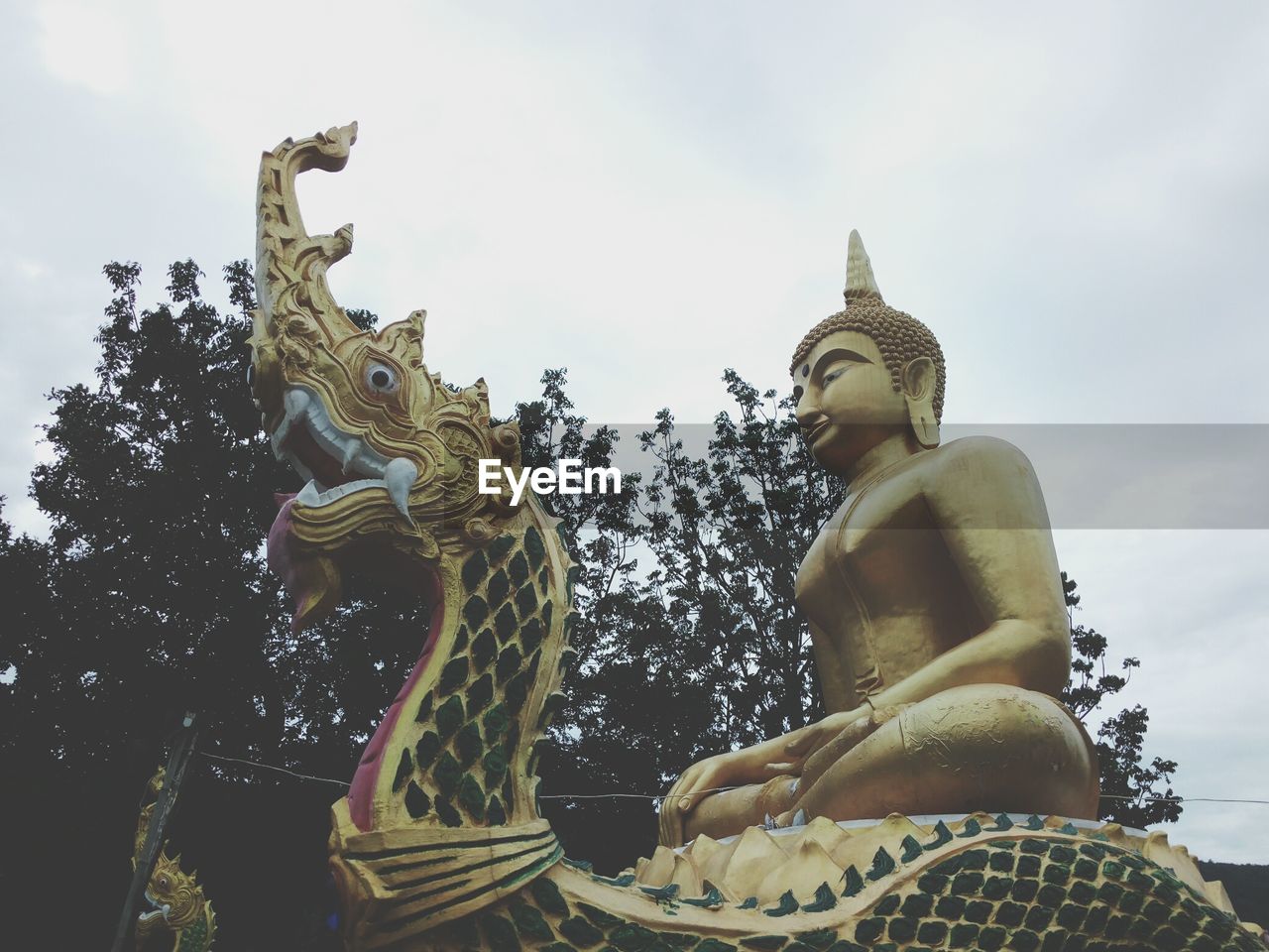 Low angle view of buddha statue by trees against sky