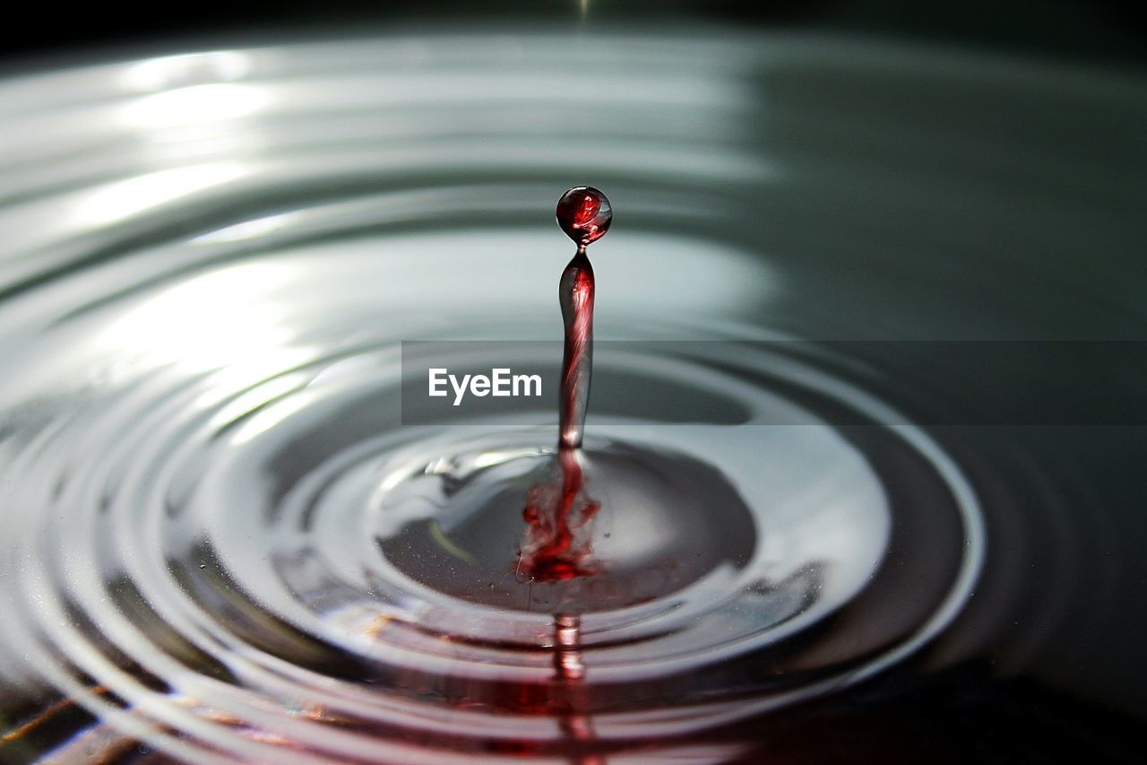 Close-up of water droplets and ripples with blood