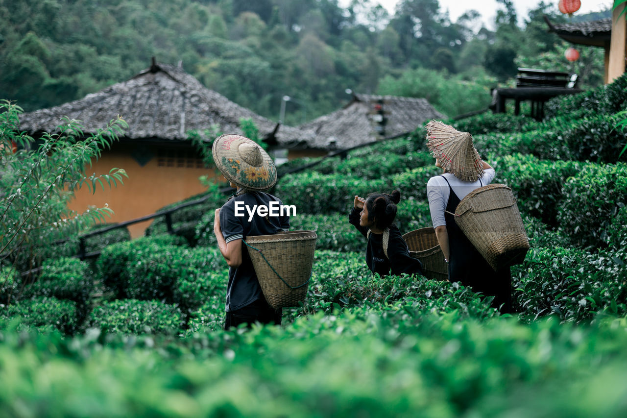 Farmers carrying wicker basket while working at farm