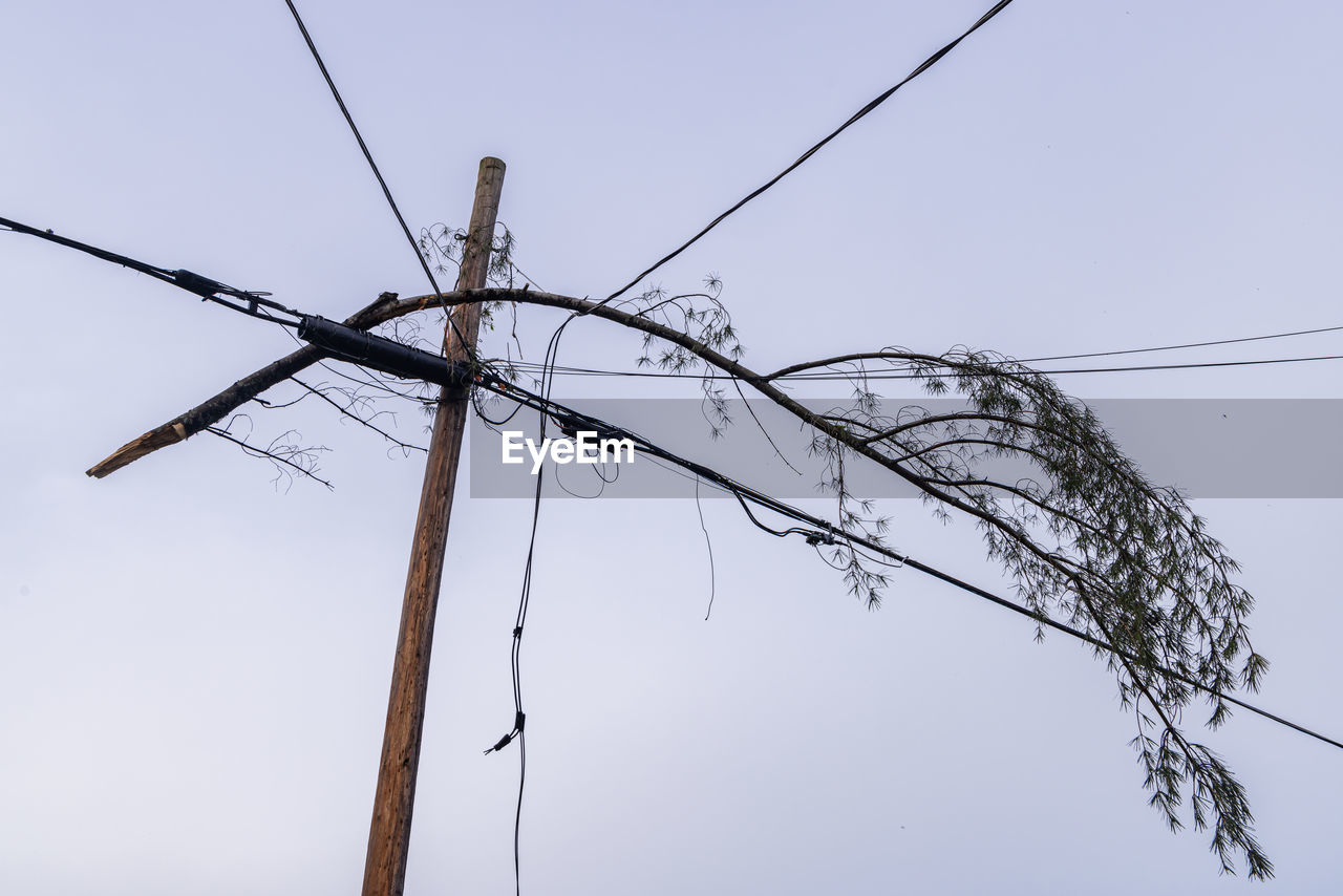 overhead power line, electricity, technology, line, cable, power generation, outdoor structure, power supply, sky, no people, nature, electricity pylon, power line, electrical supply, wind, mast, low angle view, outdoors, transmission tower, communication, telephone pole, day, branch, telephone line, clear sky