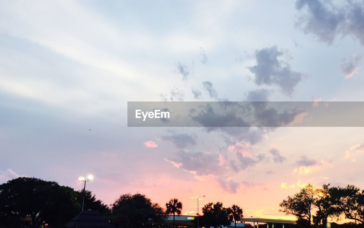 Low angle view of silhouette trees against sky at sunset