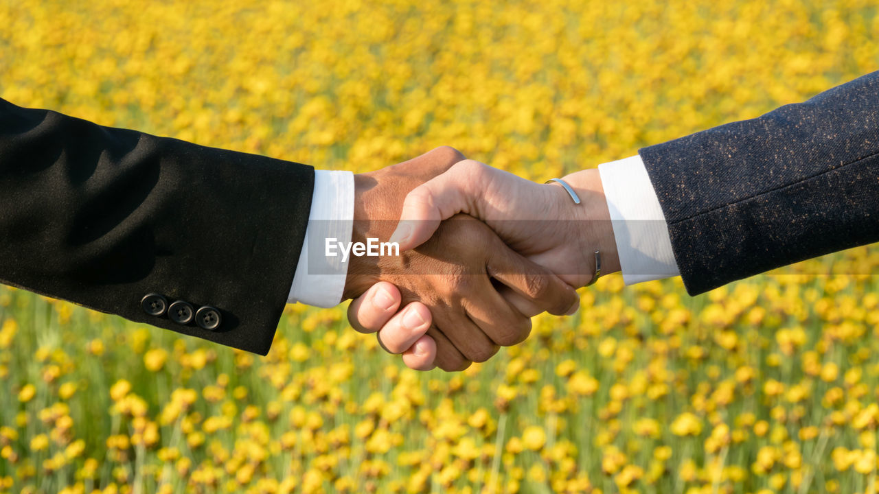 Cropped image of colleagues shaking hands over field