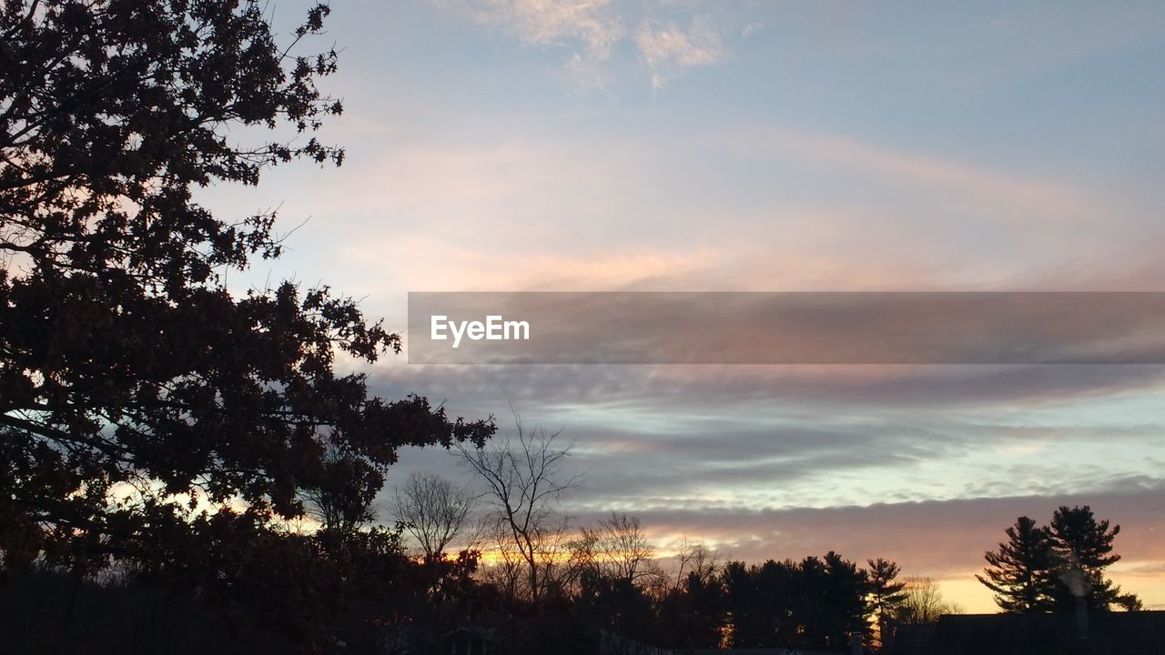 Silhouette of trees against cloudy sky