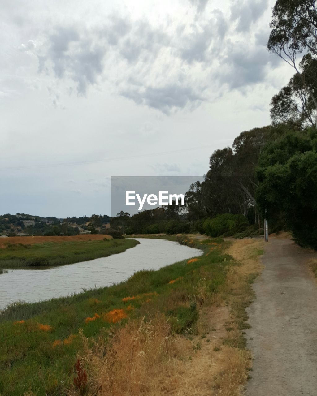 ROAD PASSING THROUGH LANDSCAPE