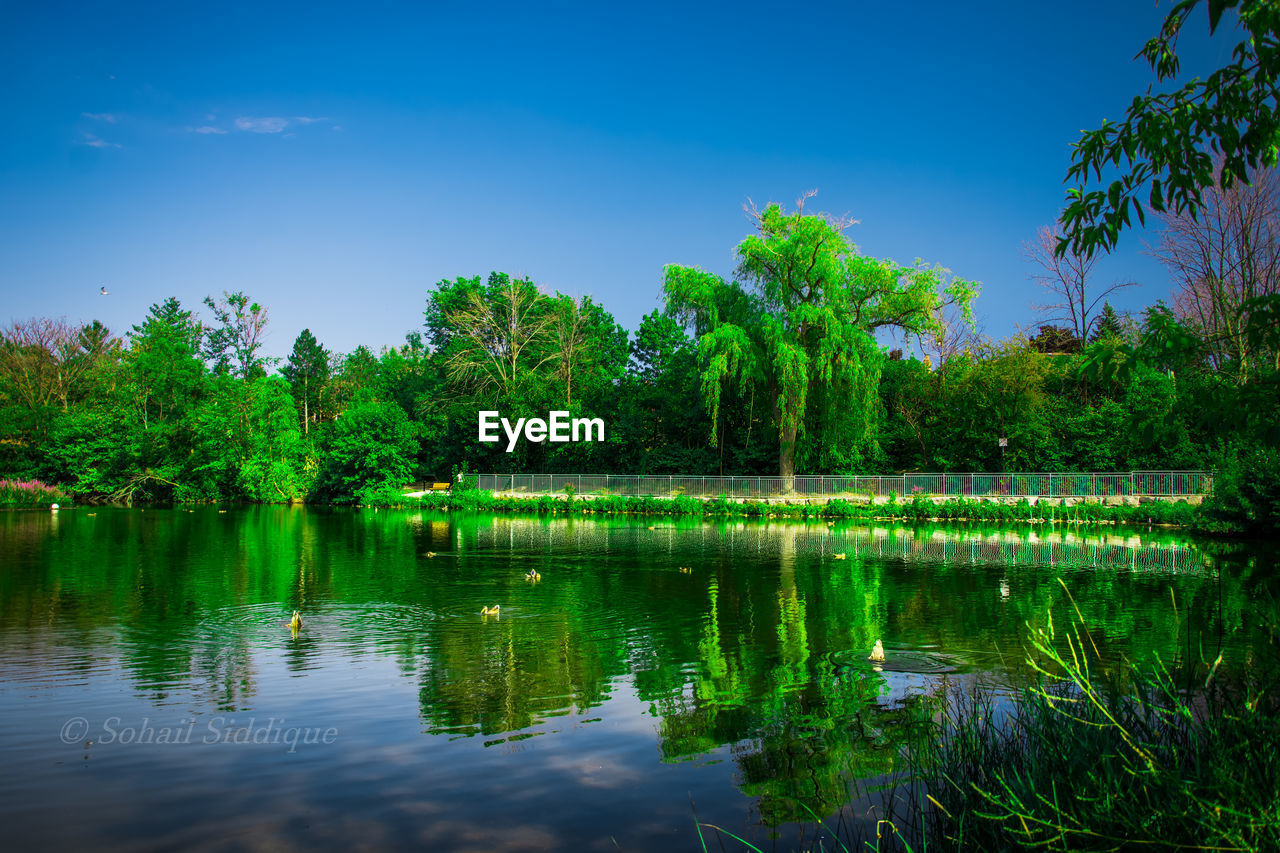 SCENIC VIEW OF LAKE WITH TREES REFLECTION AGAINST SKY