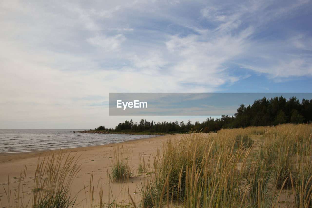 Scenic view of beach against sky