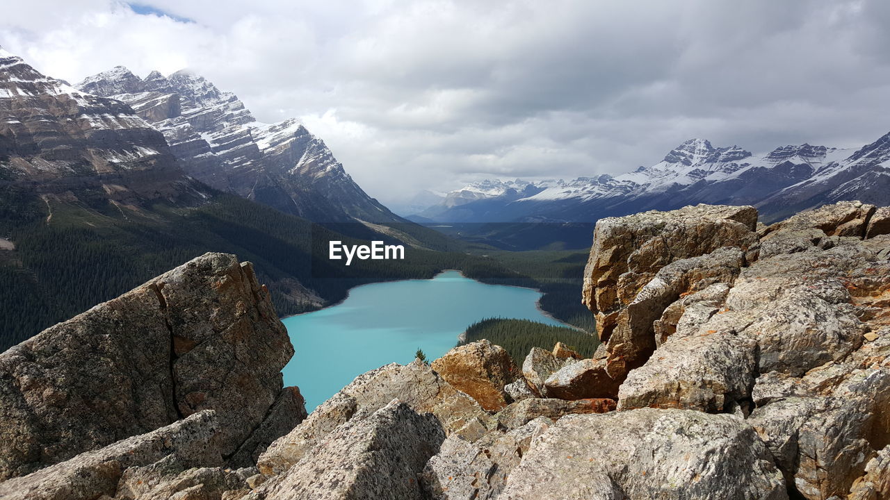 Scenic view of peyto lake