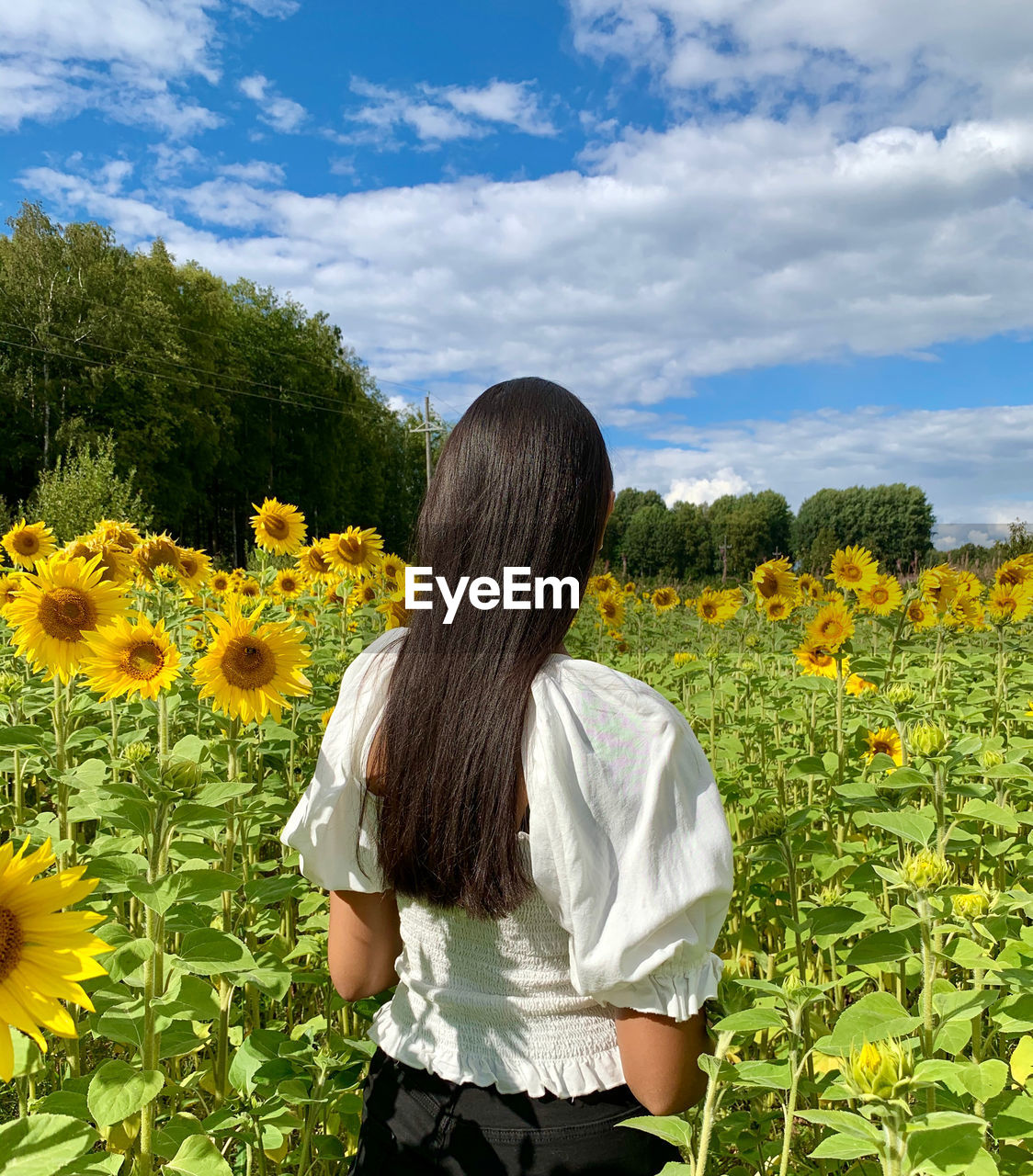 REAR VIEW OF WOMAN STANDING BY SUNFLOWER ON FIELD AGAINST CLOUDY SKY