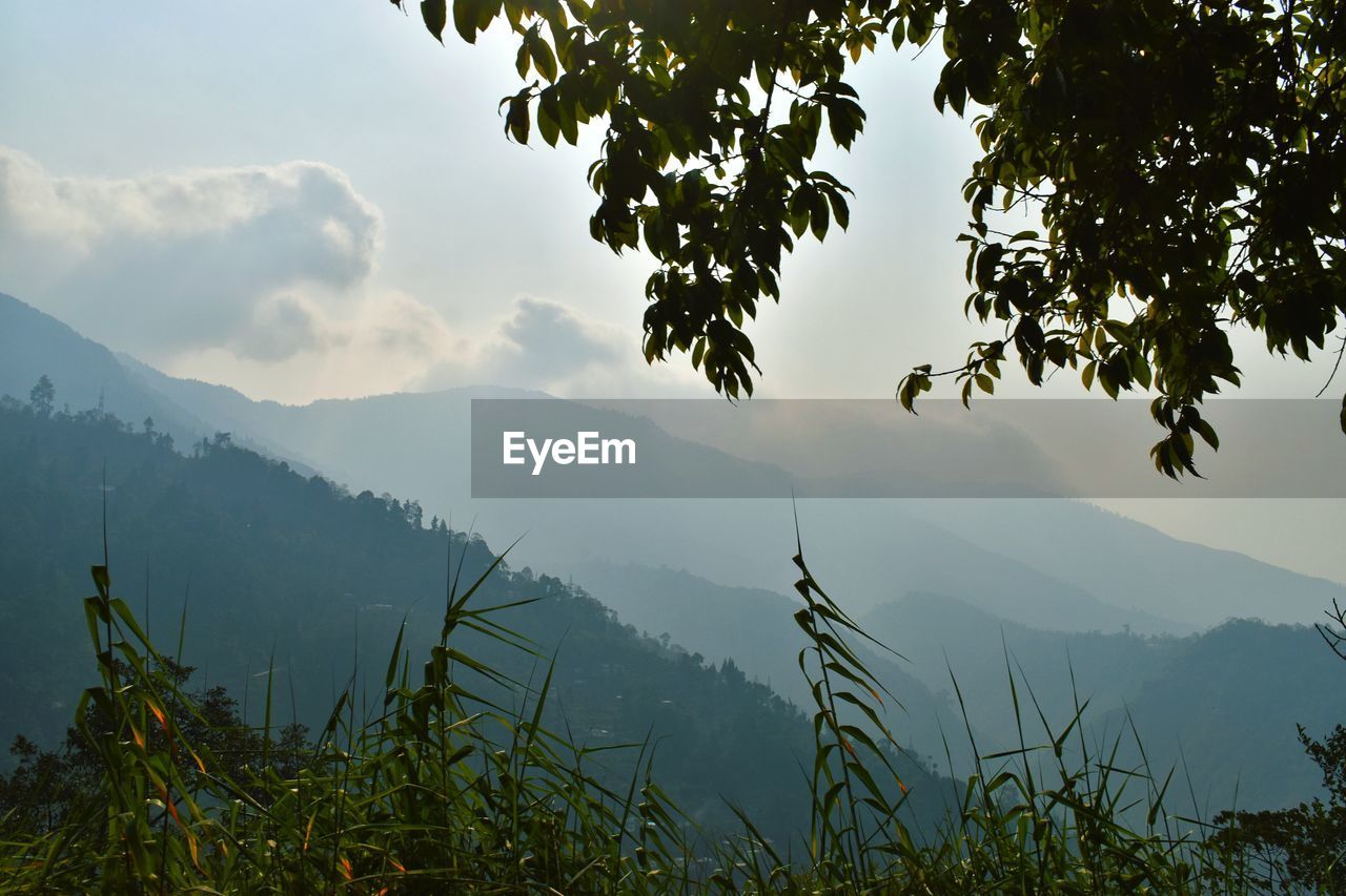 Scenic view of tree mountains against sky