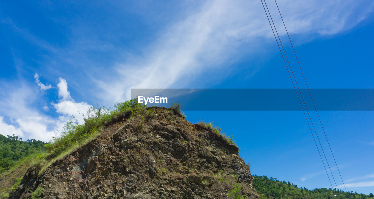 LOW ANGLE VIEW OF PLANTS AGAINST MOUNTAIN