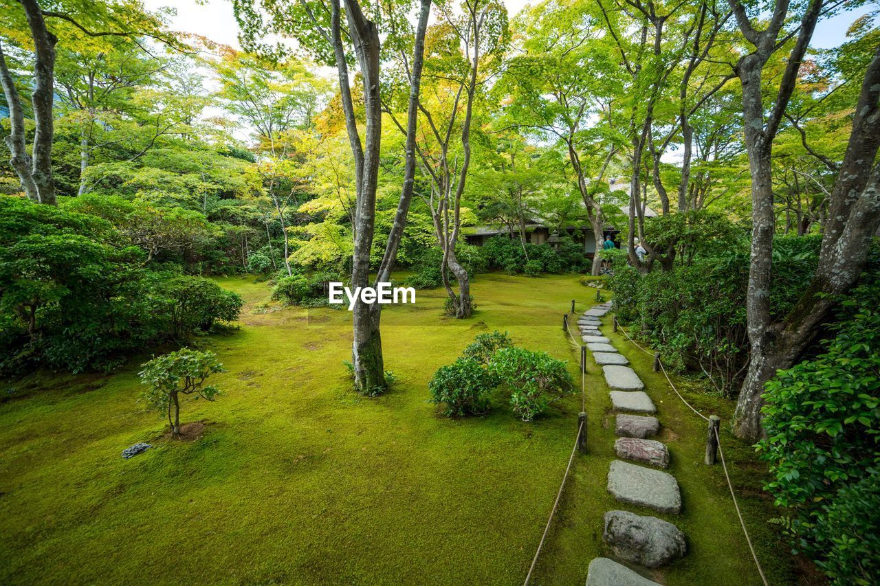 Temple garden in japan