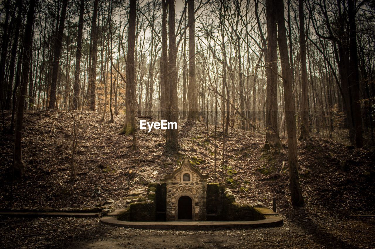 Monument surrounded by bare trees against sky