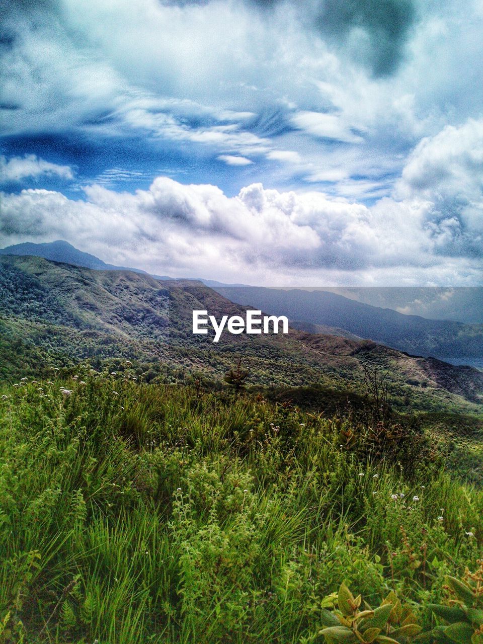 SCENIC VIEW OF LANDSCAPE AGAINST CLOUDY SKY