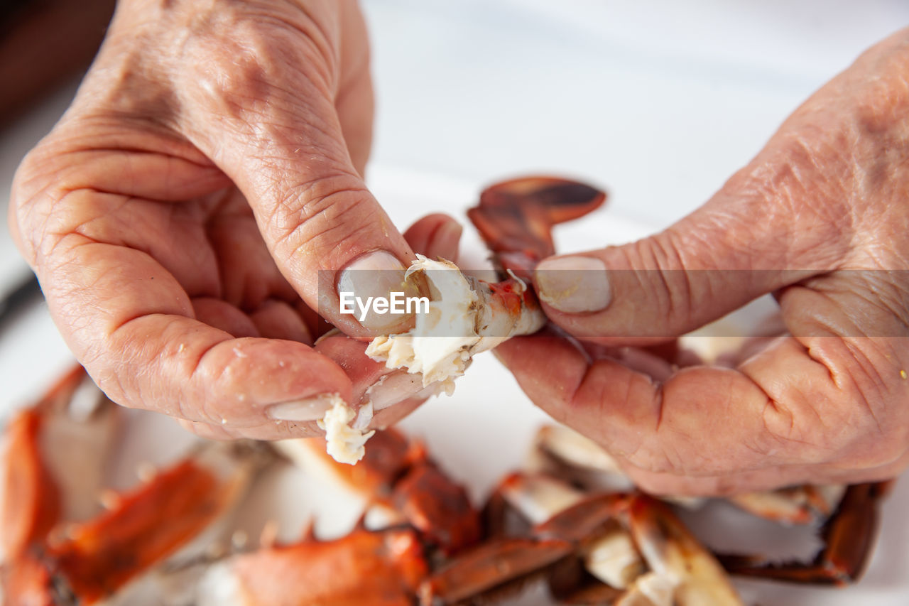 Close up of the process of breaking down a fresh crab to take out the flesh